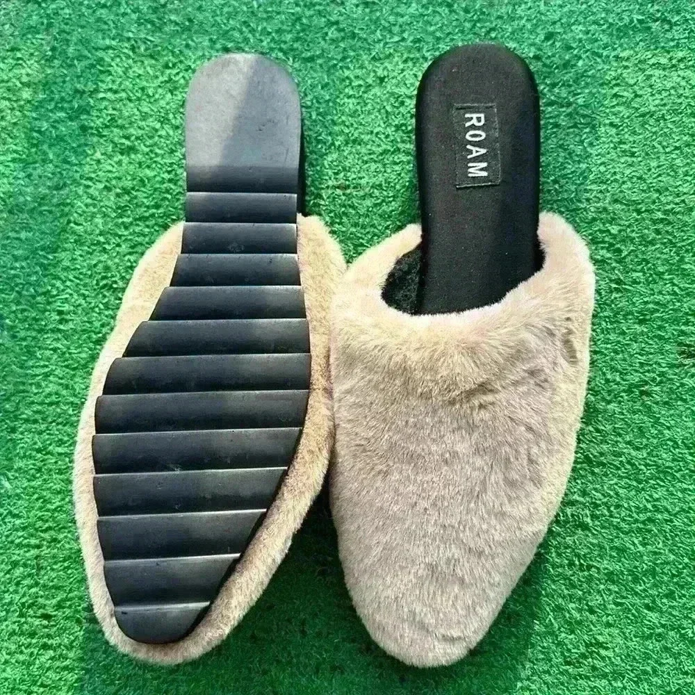 ROAM - Picture 2 of 3